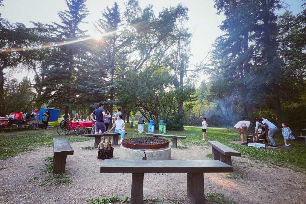 Evening sun through tall trees over a fire pit and picnic tables at the July 2024 summer BBQ